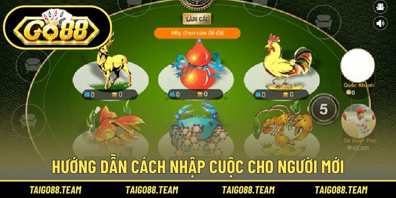 Hướng dẫn cách nhập cuộc cho người mới