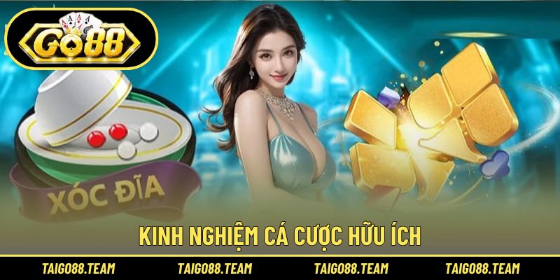 Quy định tiến hành cá cược chi tiết