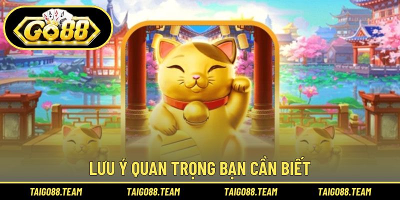 Nguyên tắc quan trọng bạn cần biết