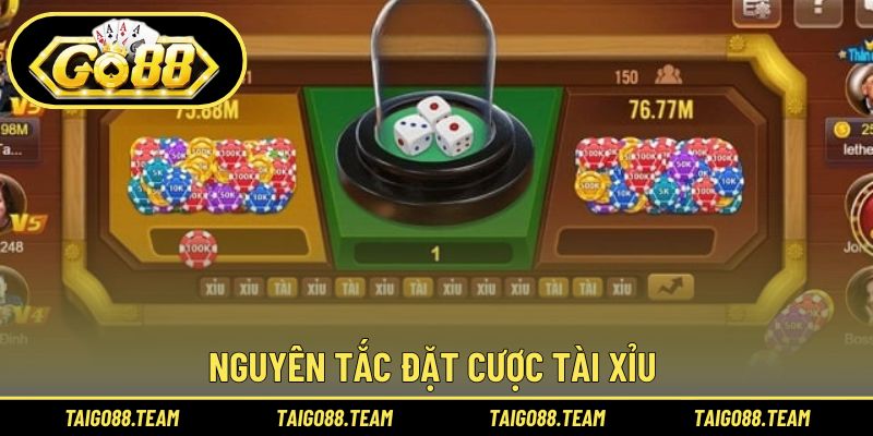 Luật lệ cơ bản mà người chơi cần nắm bắt