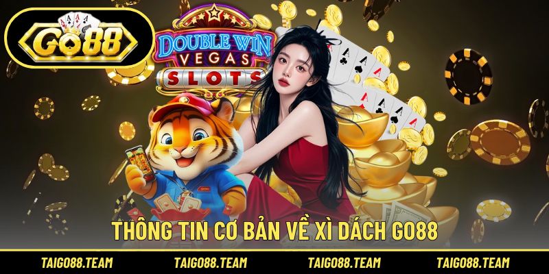 Những thông tin cơ bản tân binh cần biết về xì dách GO88